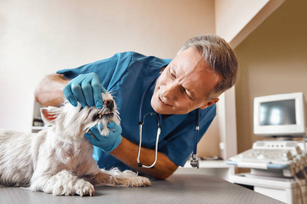 Best Emergency Dental Surgery in Sandoval, IL